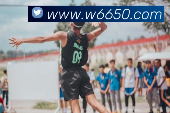 w66国际利来平台生态图